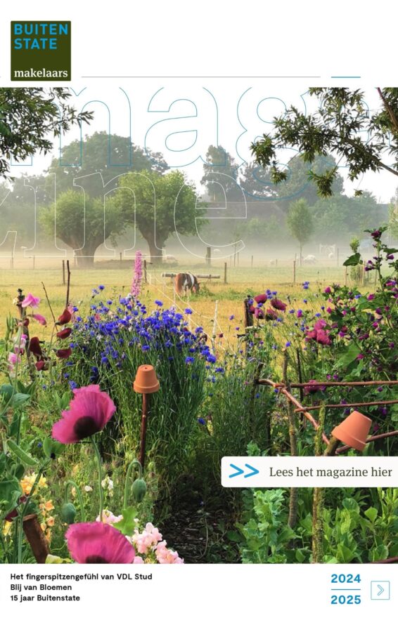 Buitenstate_magazine_banner__4_