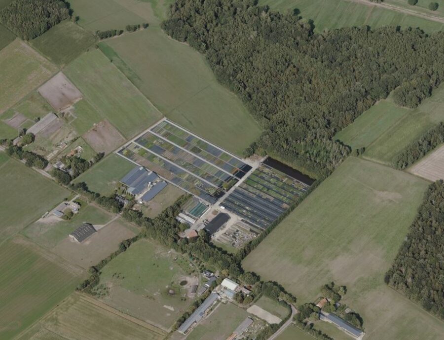 Chijnsgoed 10, Sterksel