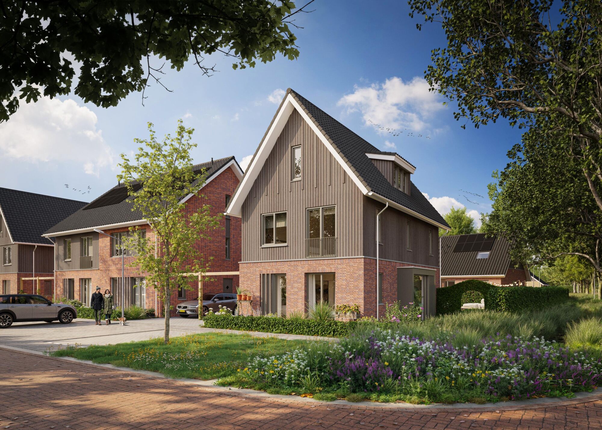 MIERLO'S MOOISTE | Fase 2, Mierlo