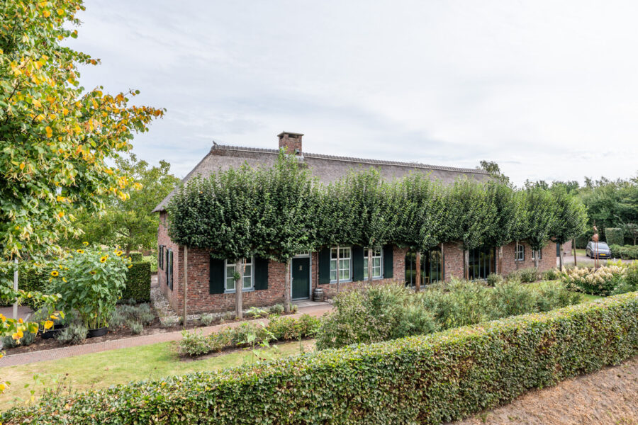 Pandelaar 87, Gemert