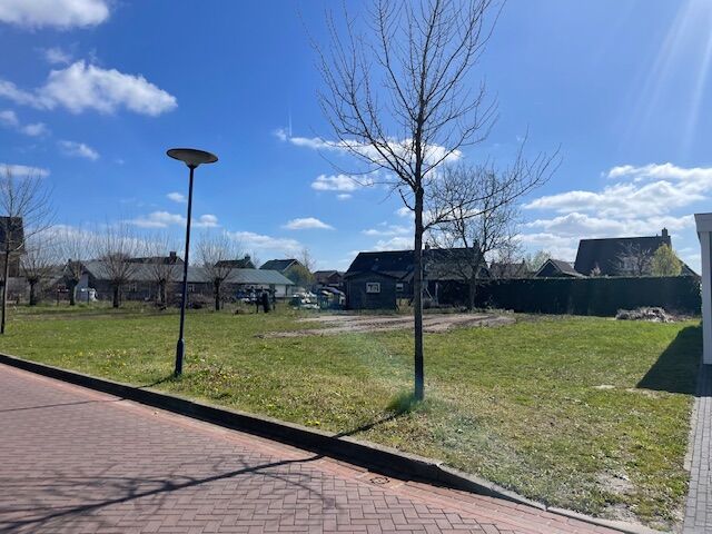 Boekweit 0ong, Boekel