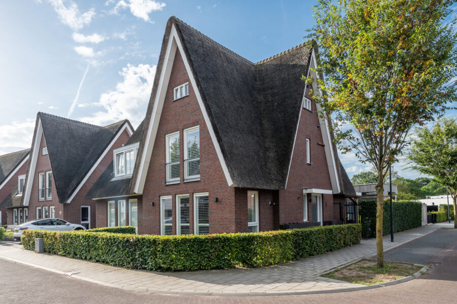 Zandoogje 1, Mierlo