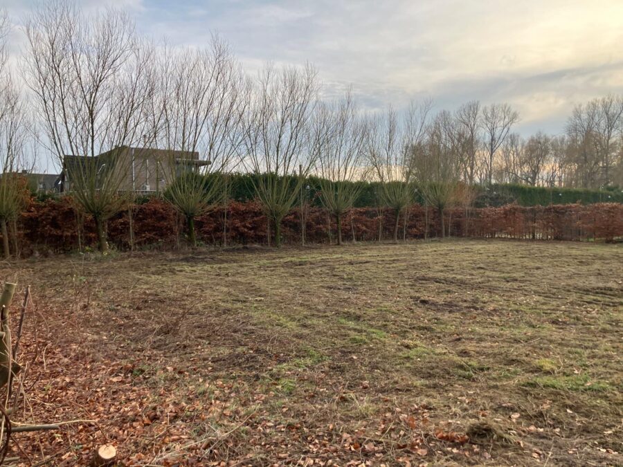 Wettenseind 0ong, Nuenen